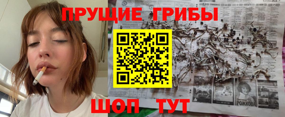 Псилоцибиновые грибы Psilocybine cubensis  Вход с VPN  Псилоцибиновые грибы Cubensis  Луга 